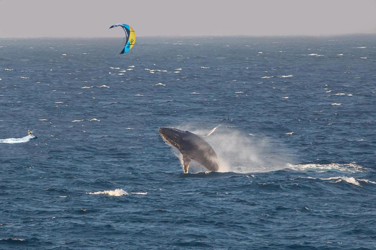 Kitesurf Tofo House - 1 Minute Walk From Beach And Center 外观 照片