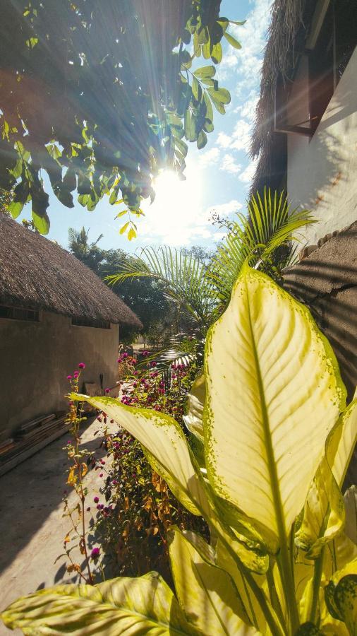 Kitesurf Tofo House - 1 Minute Walk From Beach And Center 外观 照片
